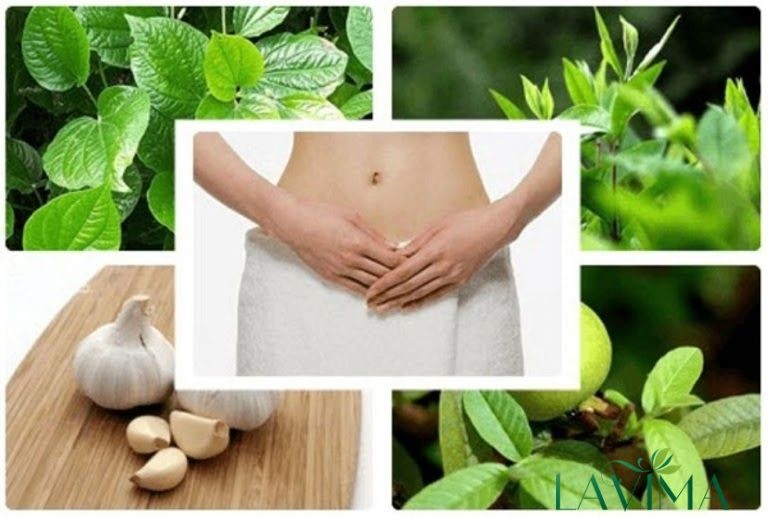 Dùng thảo dược trị nấm vùng kín vừa lành tính vừa hiệu quả
