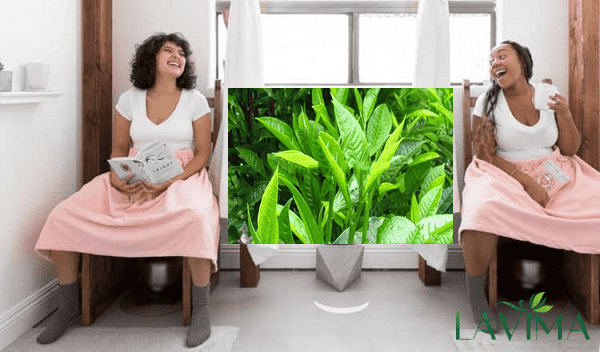 Xông hơi vùng kín bằng nước lá trà xanh