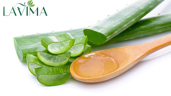 Bật mí 10+ cách chữa nấm âm đạo tại nhà cực đơn giản và an toàn 14 Mach ban cach chua ngua vung kin hieu qua ngay tu lan dau 2