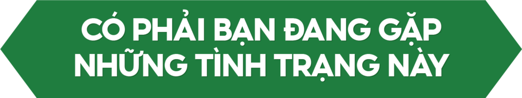 Mừng Xuân Giáp Thìn - Hàng Nghìn Quà Tặng 16 3