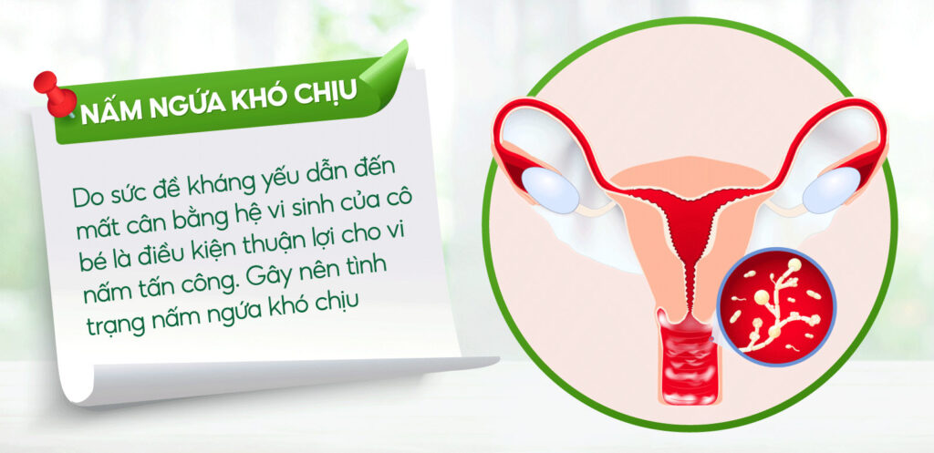 Mừng Xuân Giáp Thìn - Hàng Nghìn Quà Tặng 17 4