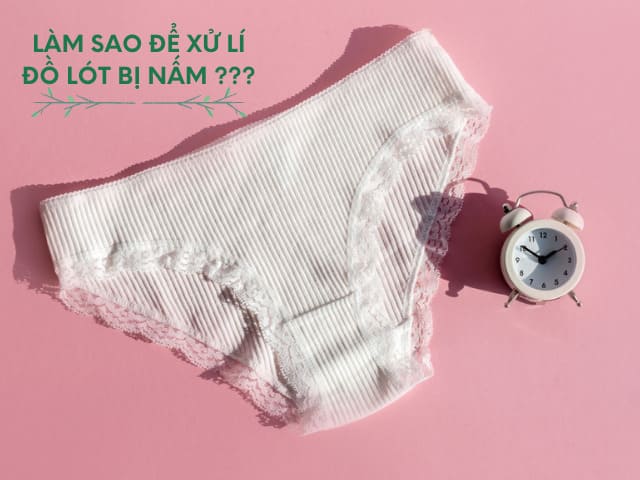 Cách giặt đồ lót bị nấm mốc tránh viêm nhiễm, lây chéo 11 Cách giặt đồ lót bị nấm mốc tránh viêm nhiễm, lây chéo